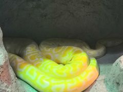 -福州罗源湾海洋世界旅游区