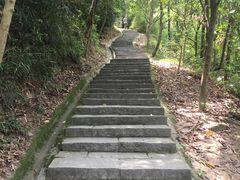 -火炉山森林公园