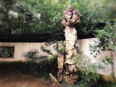 -汇龙潭