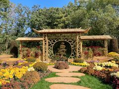 -上海共青森林公园