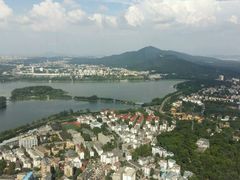 android_upload_pic-紫峰大厦