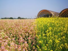 -中国天府农业博览园