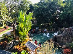-龙佳生态温泉山庄