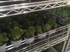 -鹿岛会员店 (龙湖三千集天街店)