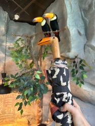 -Zoolung Zoolung动物主题公园(海信广场店)