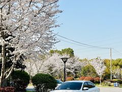 -外高桥保税区南(地铁站)