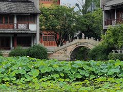 -龙潭水乡