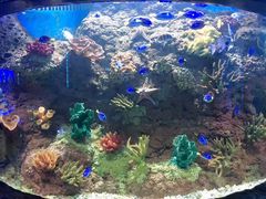 -多彩贵州城极地海洋世界