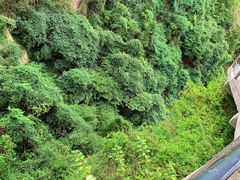 -天台山琼台仙谷景区