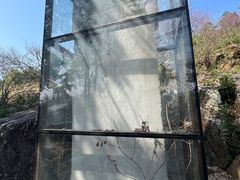 -香雪海