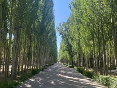 -阿尔丁植物园