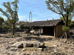 -上海野生动物园