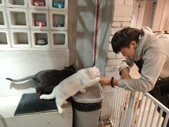 -浣熊柯尔鸭土拨鼠·电玩咖