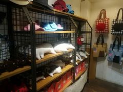 -猫咪博物馆(顶澳仔猫街店)