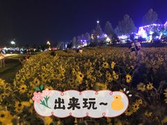 -花博汇(知音花月夜)