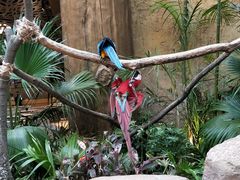 -杭州开元森泊度假乐园