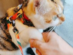 -Again Coffee Roaster(香蜜湖店)