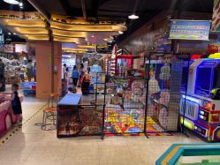 -卡通尼·Safari非洲探索乐园·生日会(金桥国际商业广场店)