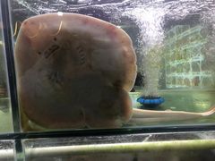 -海之鲜大排档(东山海鲜金銮湾店)