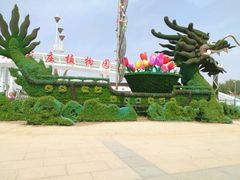 -石家庄市植物园