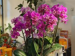 -聚·咖啡(南国奥园店)