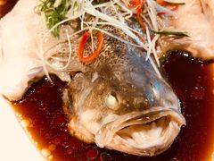 港式清蒸鲈鱼-春暖花开(西溪店)