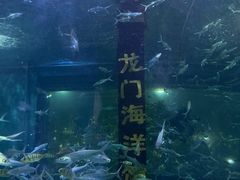 -洛阳龙门海洋馆