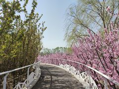 -南开大学(津南校区)