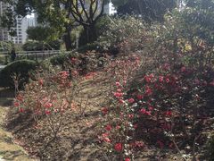 -苏州河梦清园环保主题公园