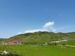 -关山草原