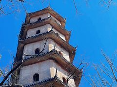 -江心屿景区