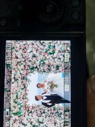 点击看大图 -经典婚纱摄影美学馆·私人定制