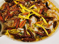 -新太二·鲜料川菜(群光广场店)