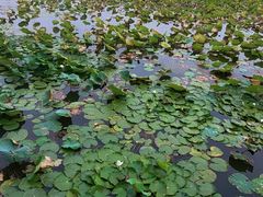 -天津东丽湖风景区