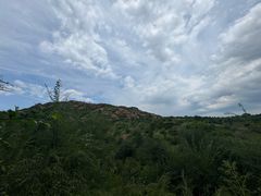 -红山国家森林公园