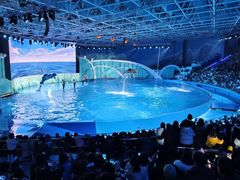 -海合安青岛极地海洋公园