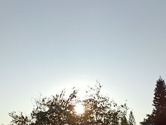 -惠州西湖丰渚园