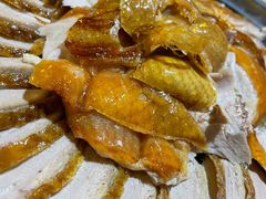 -守柴炉烤鸭(科华中路王府井店)