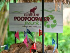 -大象粑粑造纸公园