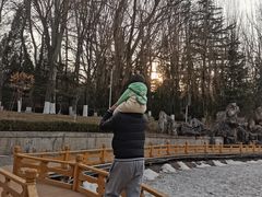 -金城公园