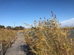 -农垦当壁镇兴凯湖旅游度假区