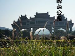 -顺峰山公园