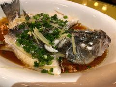 -HOHO餐厅(古子城店)