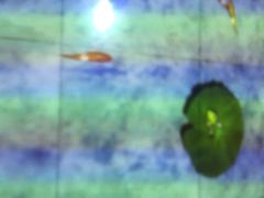 -临足迹(临平康成大厦店)