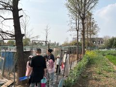 -菊园百果园