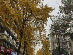 -奎星楼街