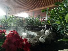 -河北霸州茗汤日月潭温泉