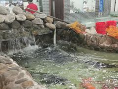 -小北江河鲜(新城店)