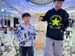 -扬浦大酒楼(平顶山路店)