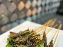 白灼斑节虾-金龙·打边炉(南京西路店)